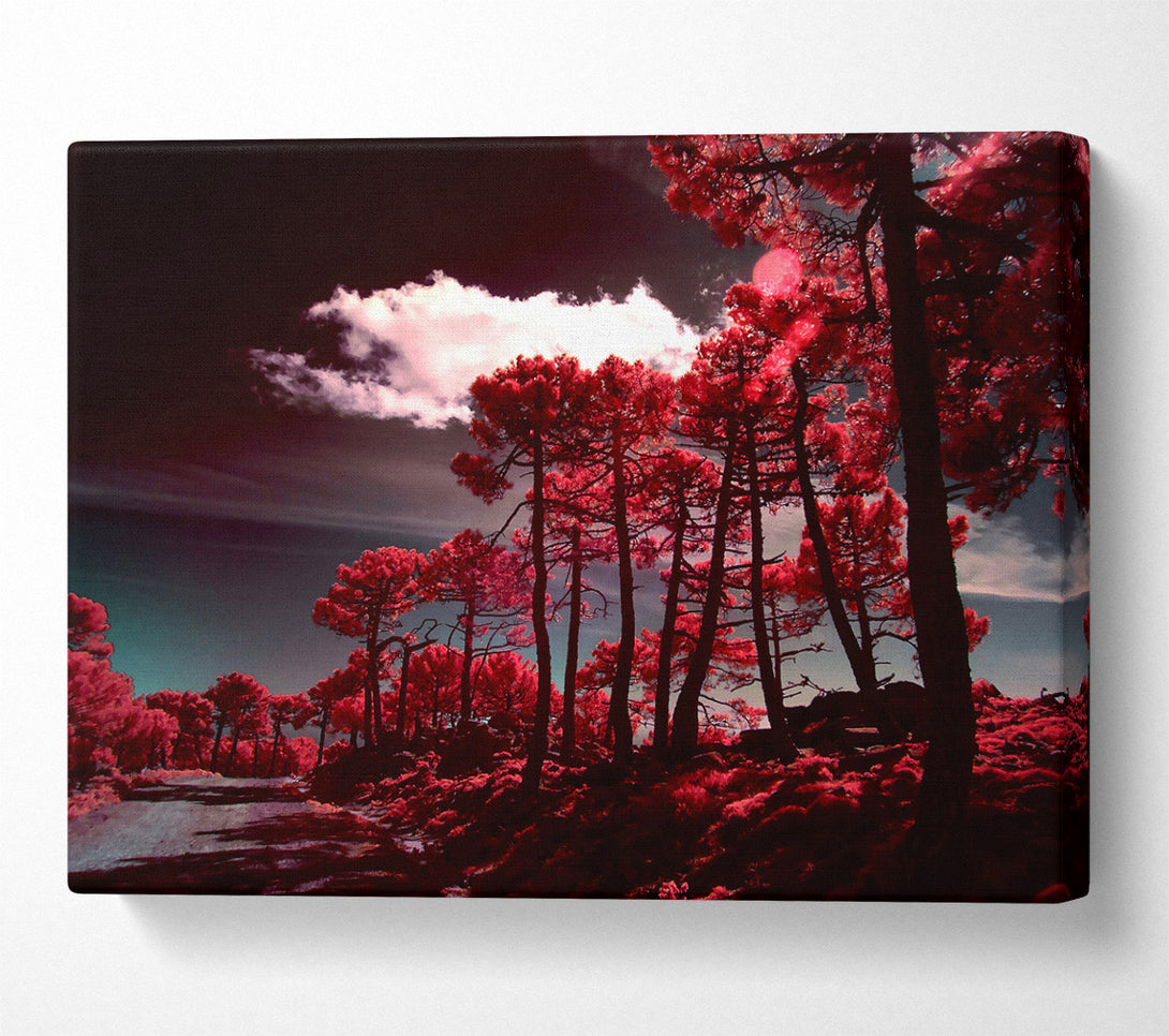  A Canvas Print of Crimson Forest Path Canvas Print