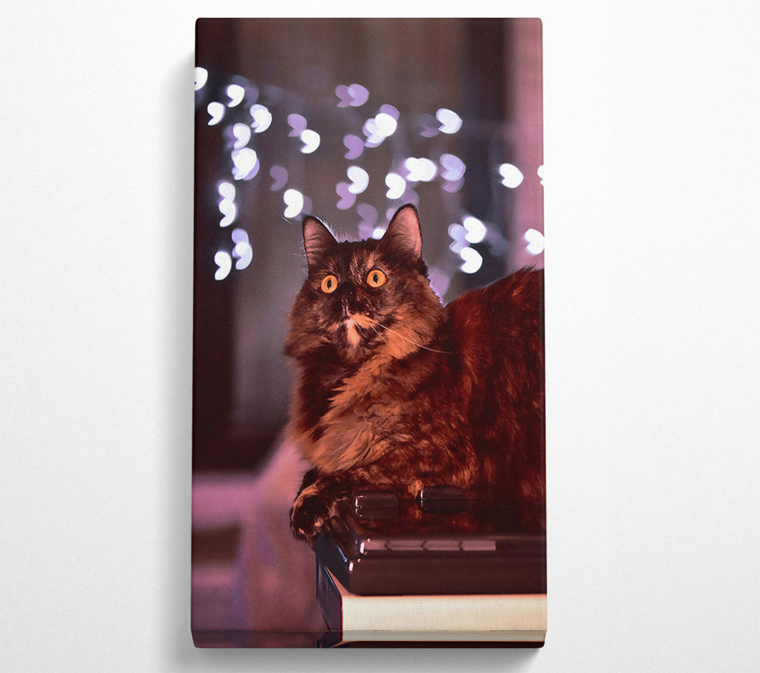  A Canvas Print of The Brown Light Gaze Canvas Print