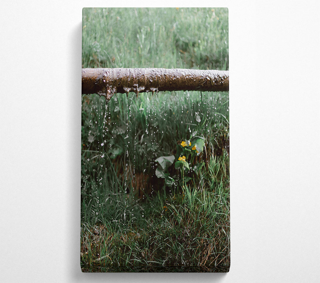  A Canvas Print of Green Leaky Pipe Drips Canvas Art