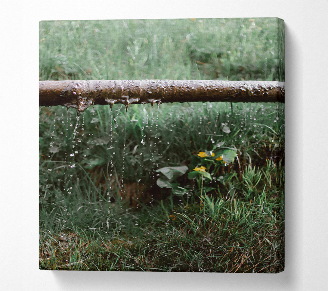  A Canvas Print of Green Leaky Pipe Drips Canvas Art