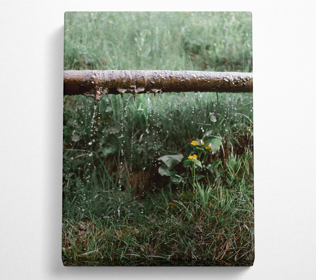  A Canvas Print of Green Leaky Pipe Drips Canvas Art