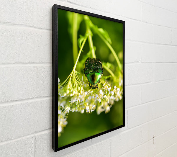 Emerald Beetle Bloom