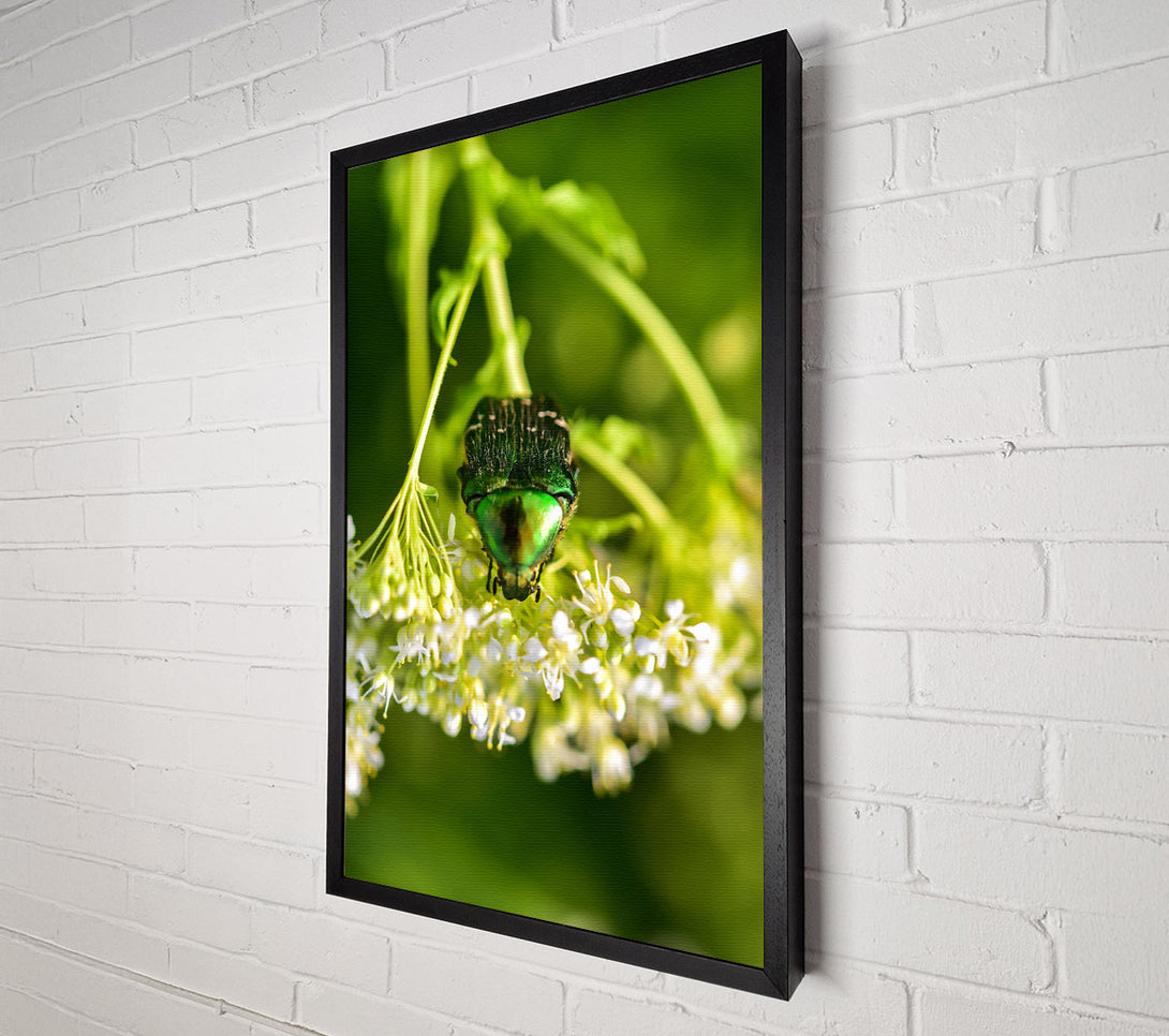  A Canvas Print of Emerald Beetle Bloom Canvas Art