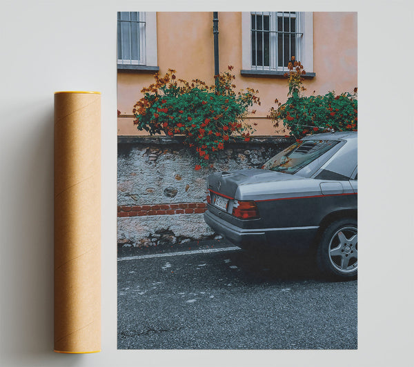 Grey Car In Bloom Giclee Print