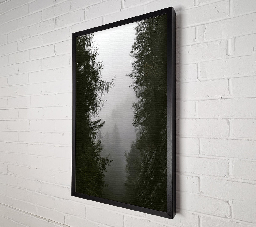  A Canvas Print of Green Foggy Valley Canvas Art