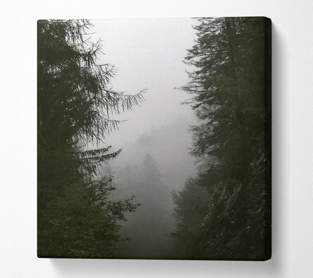  A Canvas Print of Green Foggy Valley Canvas Art