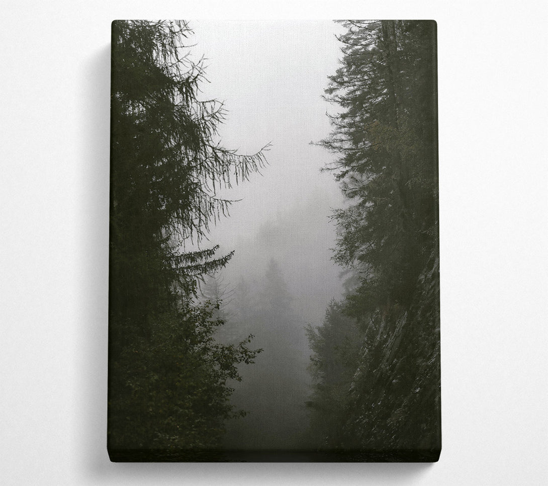  A Canvas Print of Green Foggy Valley Canvas Art