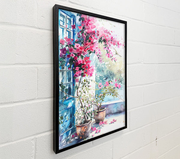Pink Bougainvillea Bloom