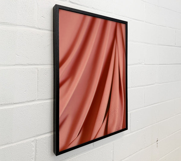 Coral Drape Study