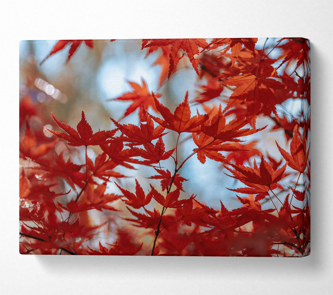 A Canvas Print of Loading... Canvas Print