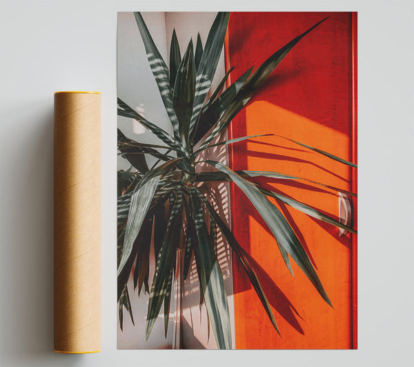 Orange Sun Rays Poster
