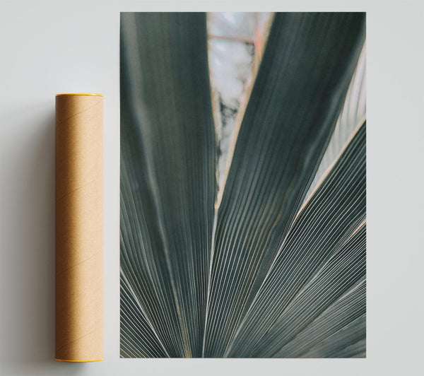 Emerald Palm Lines Poster