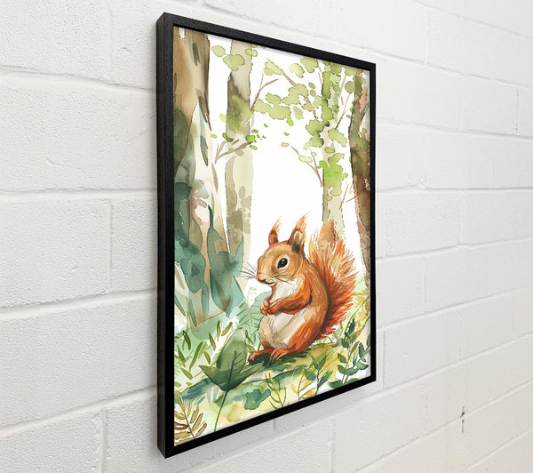 Orange Squirrel In Woods