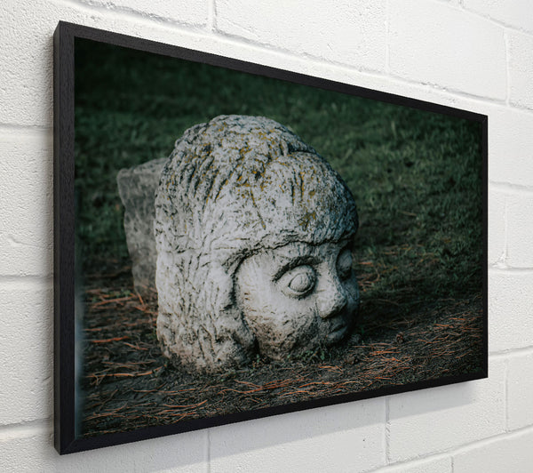 Grey Stone Gaze