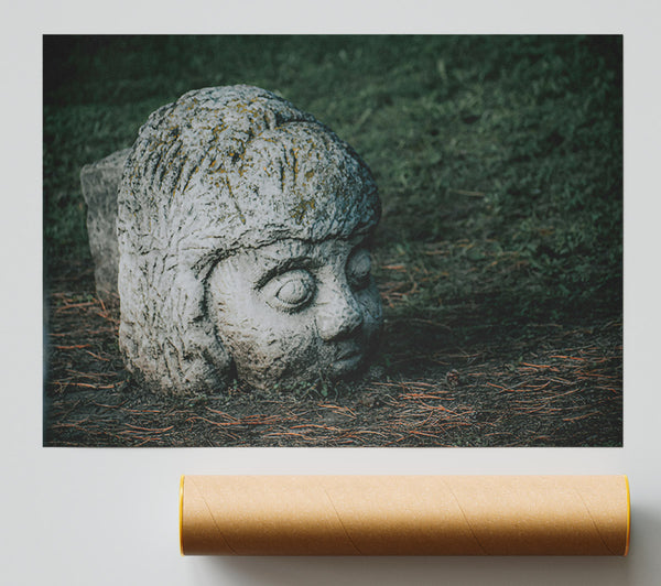 Grey Stone Gaze Giclee Print