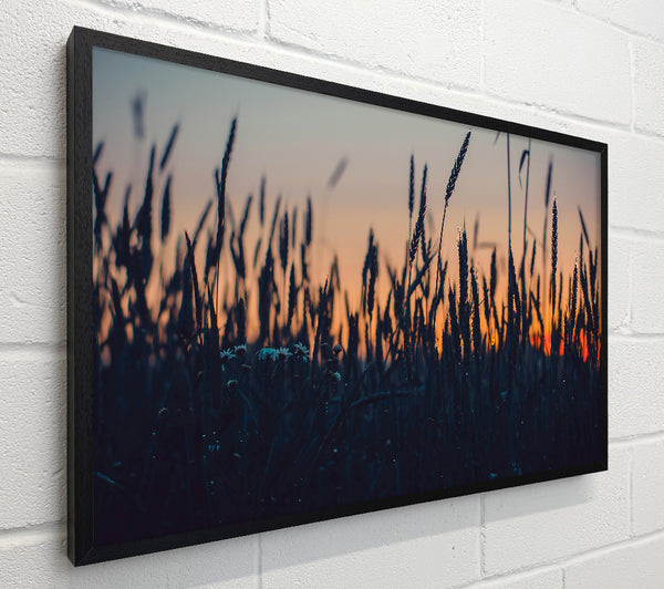 Orange Field Silhouettes