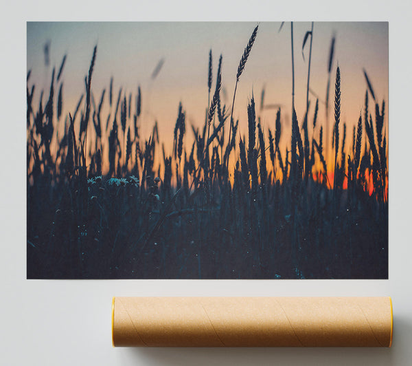 Orange Field Silhouettes Poster