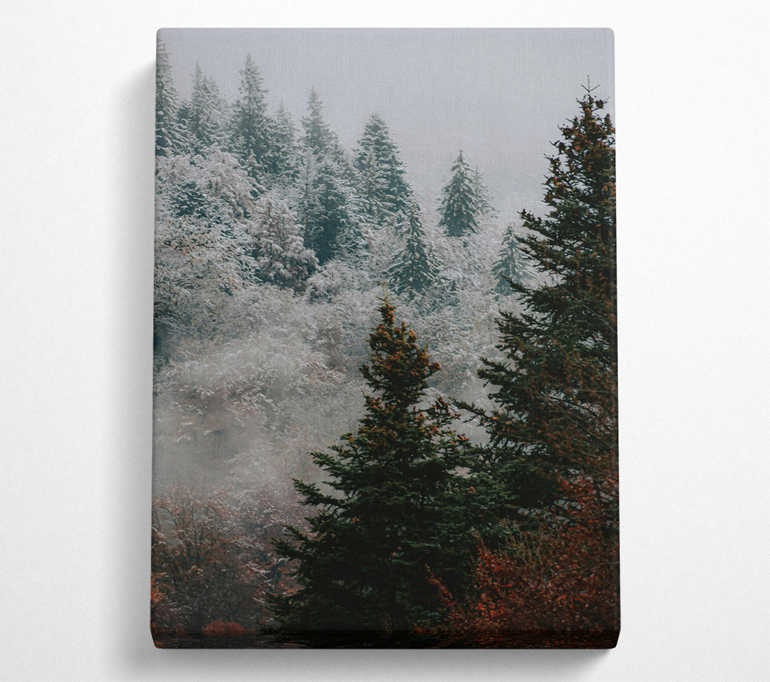  A Canvas Print of Green Mist Pines Canvas Art