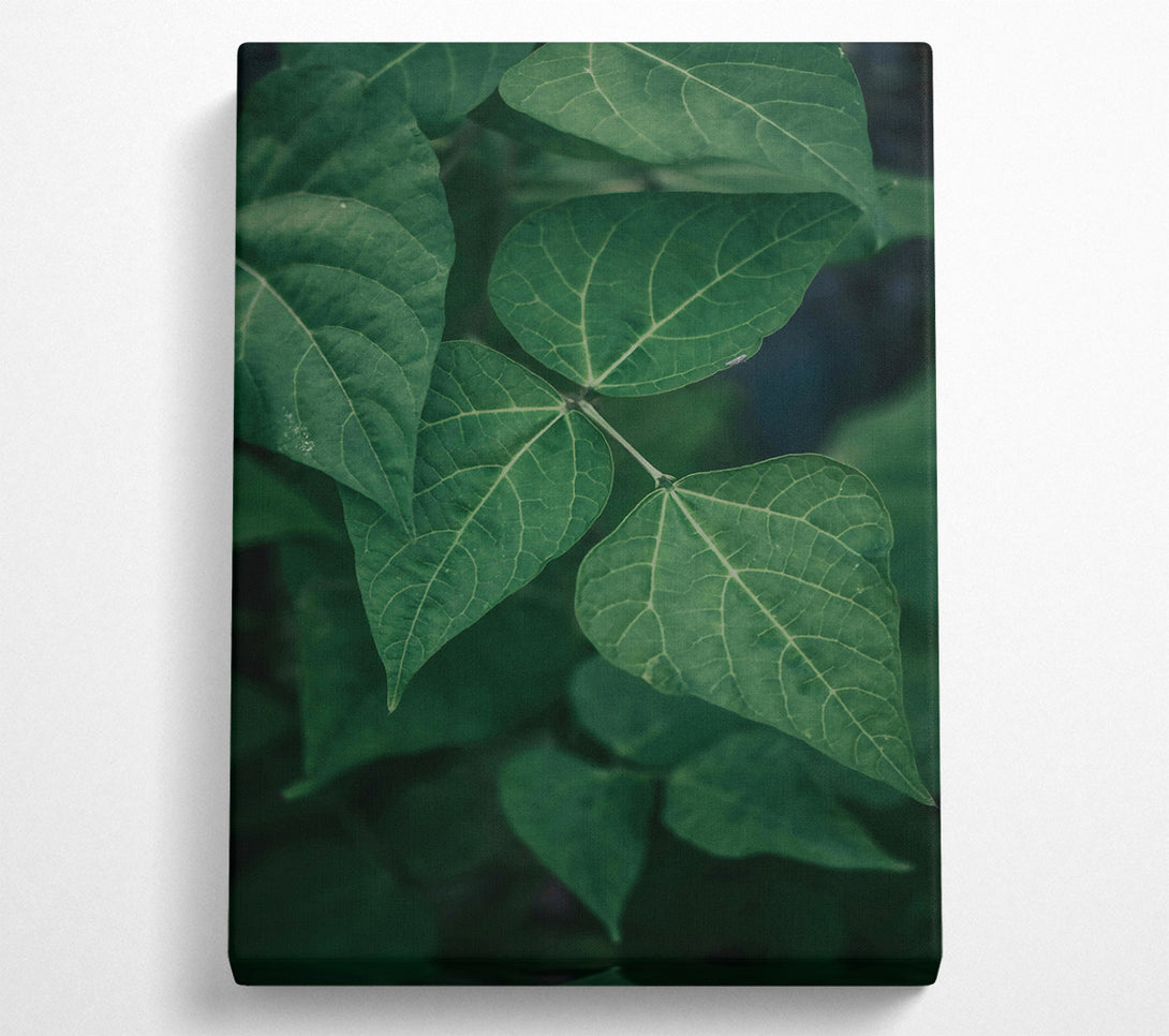  A Canvas Print of Emerald Green Veins Canvas Art