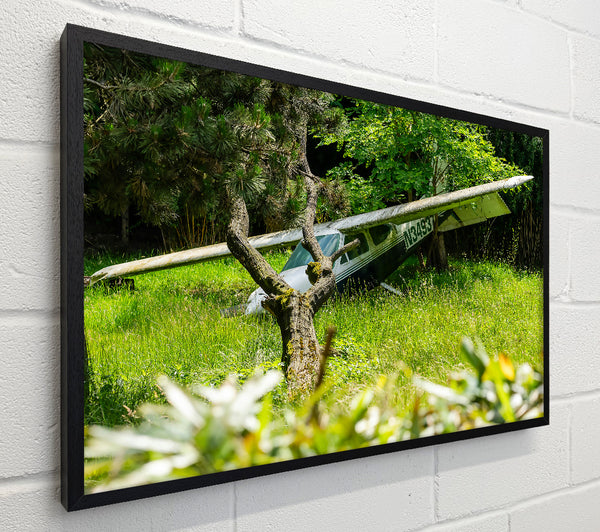 Green Plane In The Woods