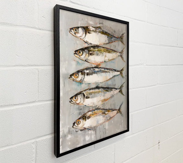Silver Fish Row