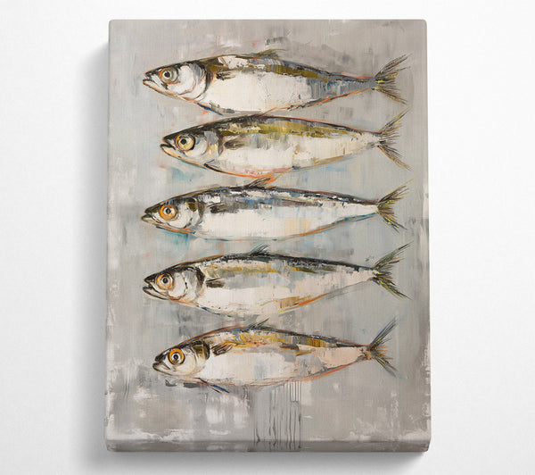  A Canvas Print of Silver Fish Row Canvas Art