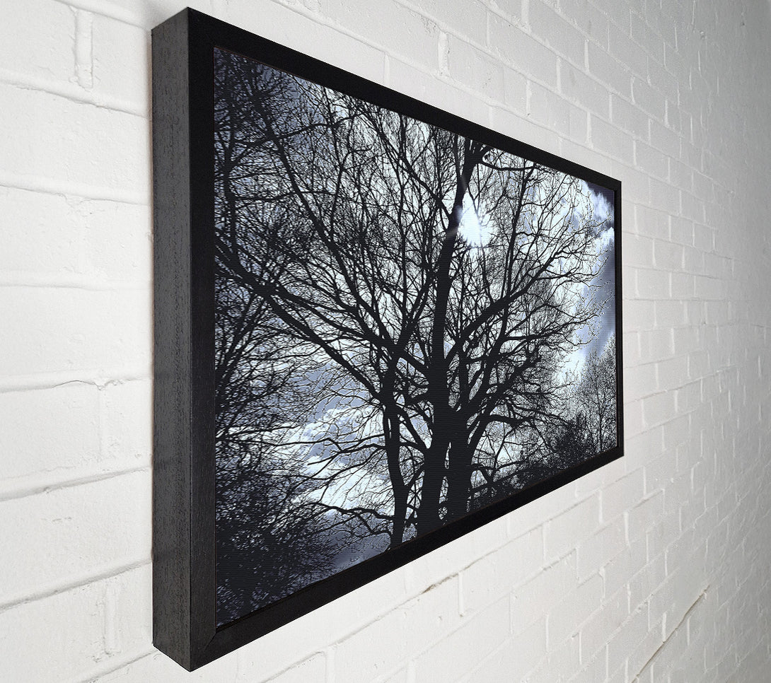  A Canvas Print of Blue Sky Branches Canvas Print