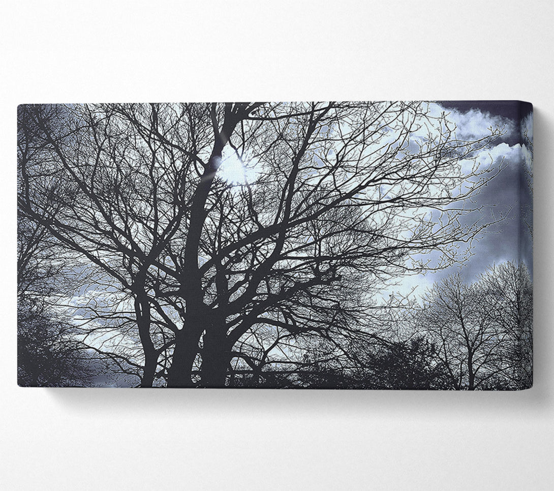  A Canvas Print of Blue Sky Branches Canvas Print