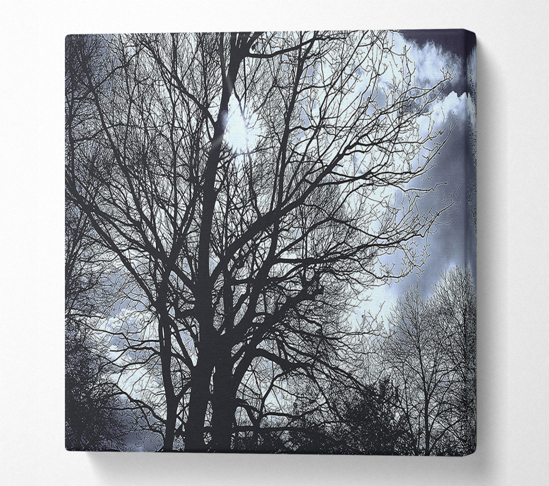  A Canvas Print of Blue Sky Branches Canvas Print