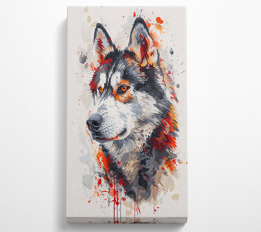  A Canvas Print of Crimson Wolf Gaze Canvas Art