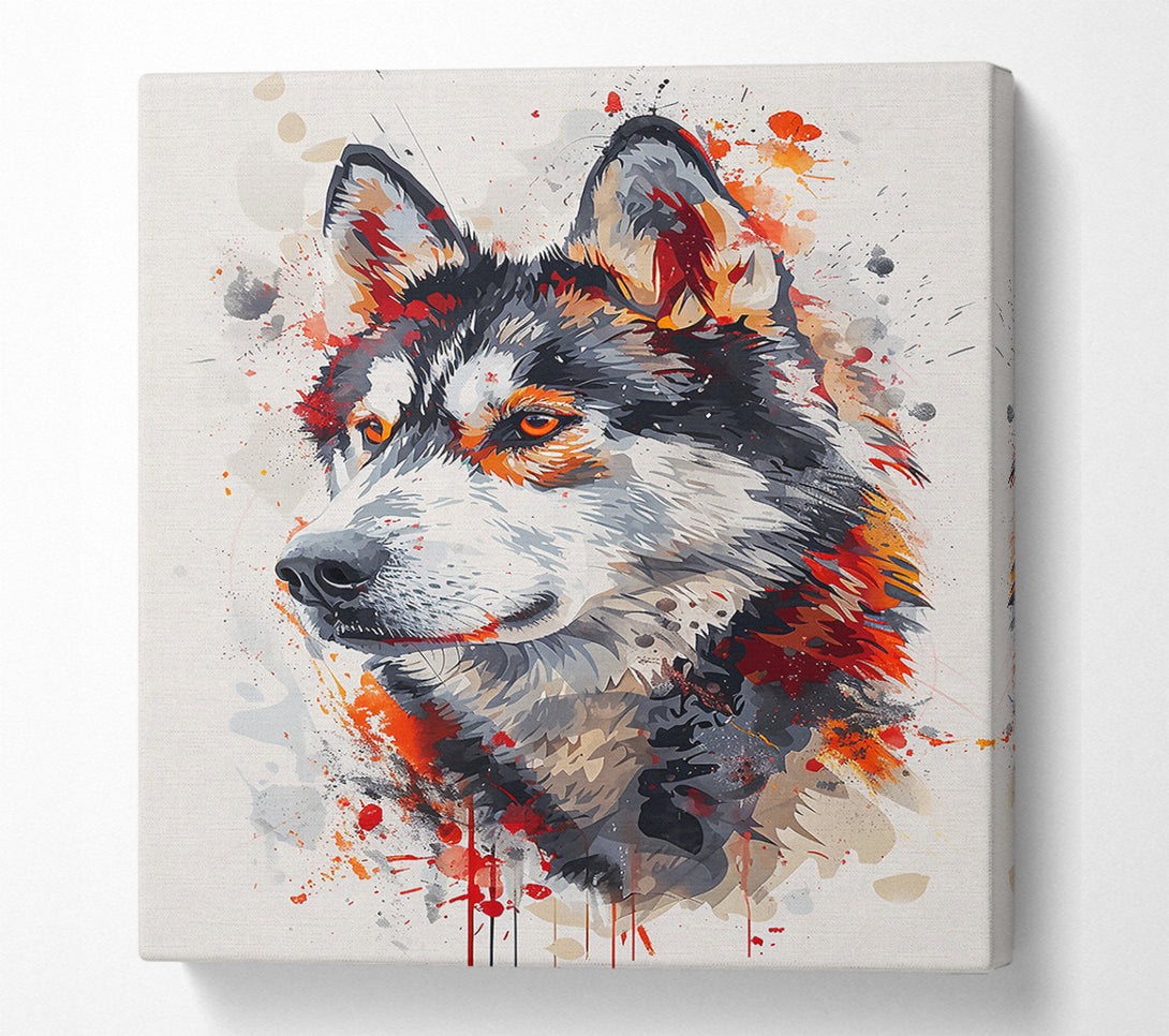  A Canvas Print of Crimson Wolf Gaze Canvas Art