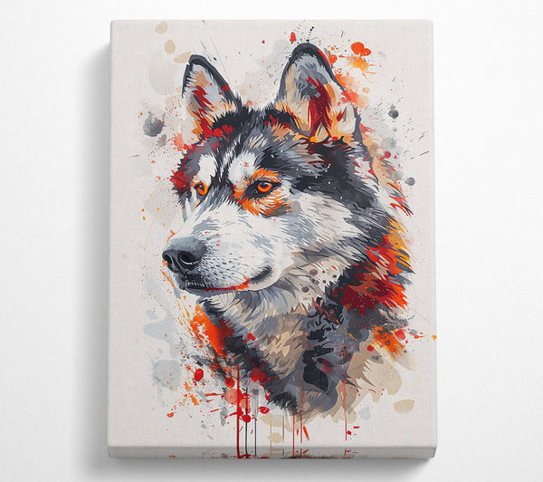  A Canvas Print of Crimson Wolf Gaze Canvas Art