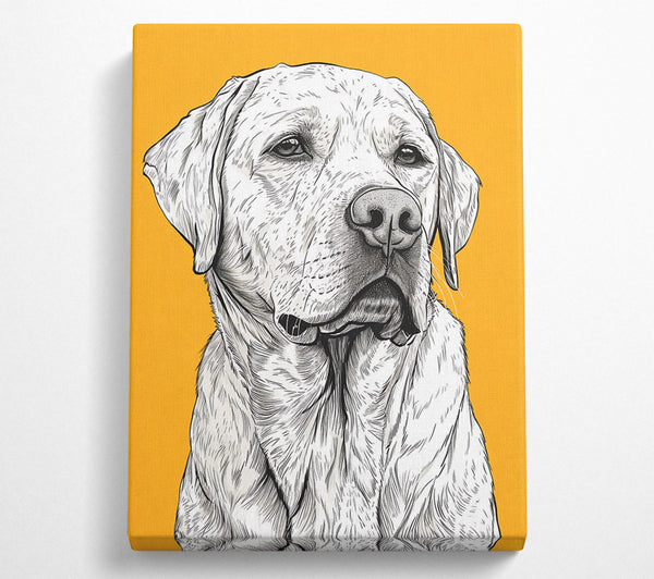  A Canvas Print of Golden Retriever Gaze Canvas Wall Art