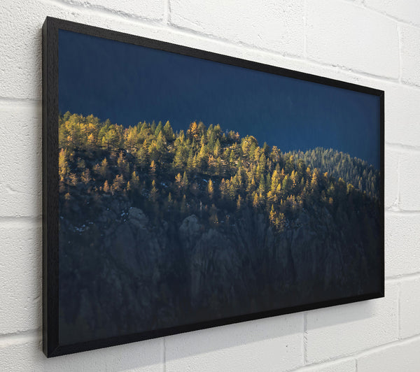 Golden Forest Ridge