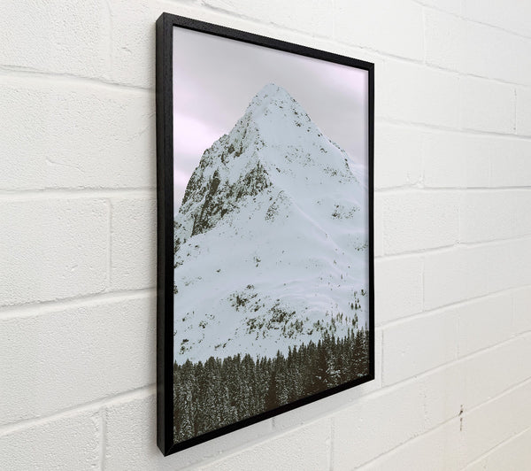 White Mountain Serenity