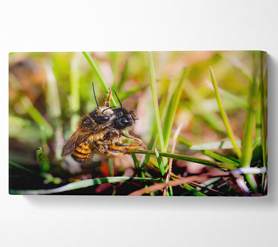  A Canvas Print of Green Fuzzy Buzzer Canvas Art