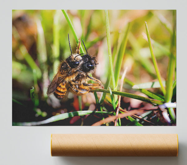 Green Fuzzy Buzzer Giclee Print