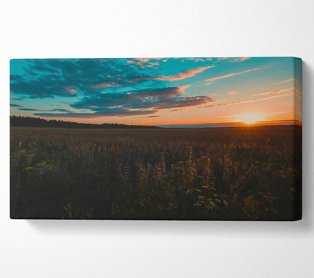  A Canvas Print of Golden Hour Field Canvas Wall Art