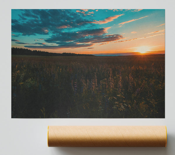 Golden Hour Field Poster