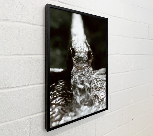 Silver Stream Flowing