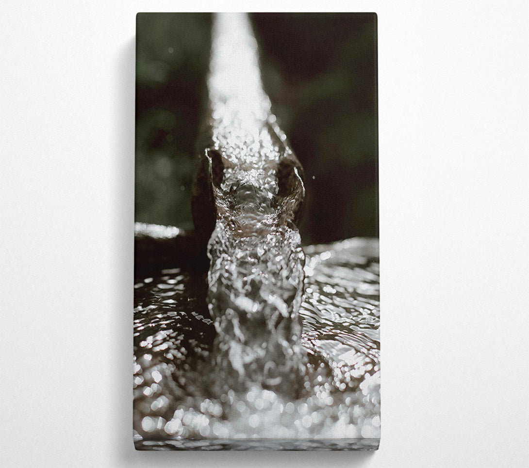  A Canvas Print of Silver Stream Flowing Canvas Art