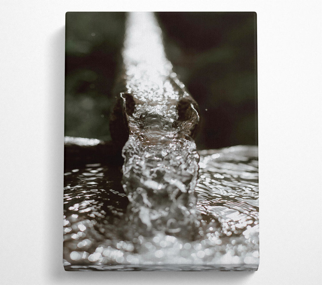  A Canvas Print of Silver Stream Flowing Canvas Art