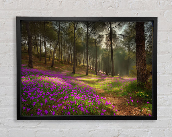Bluebell Woods Framed Print