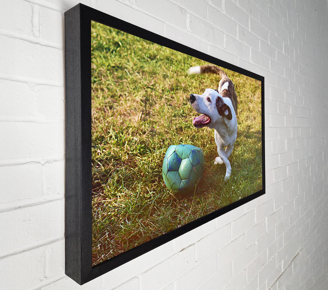 A Canvas Print of Green Ball Chase Canvas Wall Art
