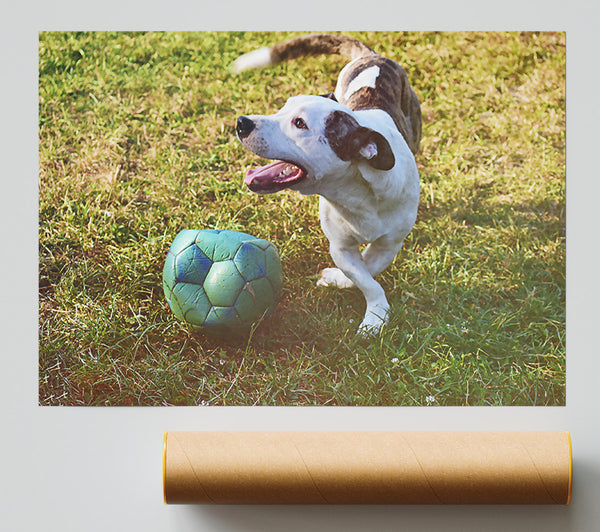Green Ball Chase Poster