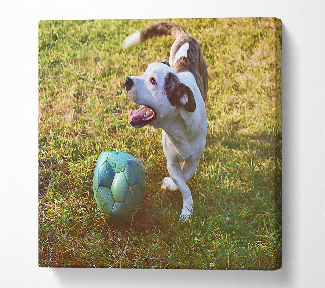  A Canvas Print of Green Ball Chase Canvas Wall Art