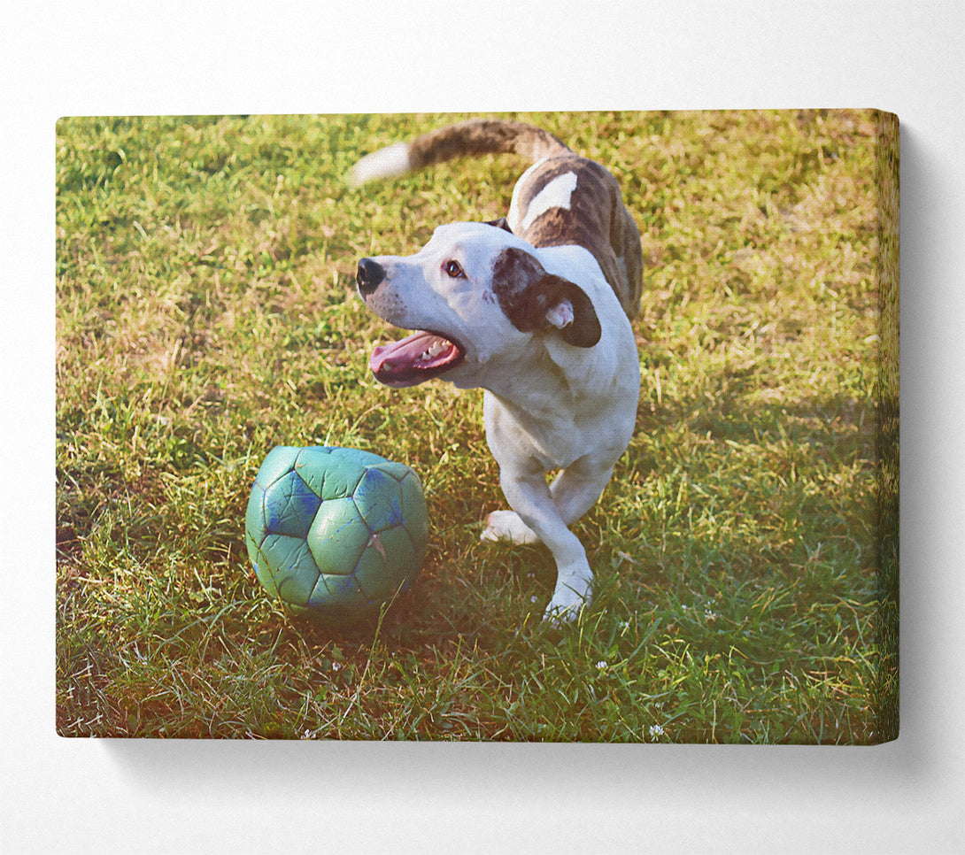  A Canvas Print of Green Ball Chase Canvas Wall Art