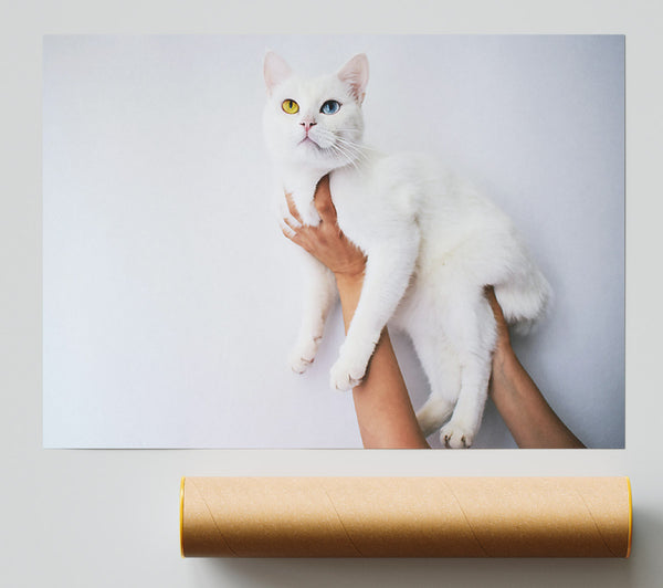White Cat'S Eyes Poster