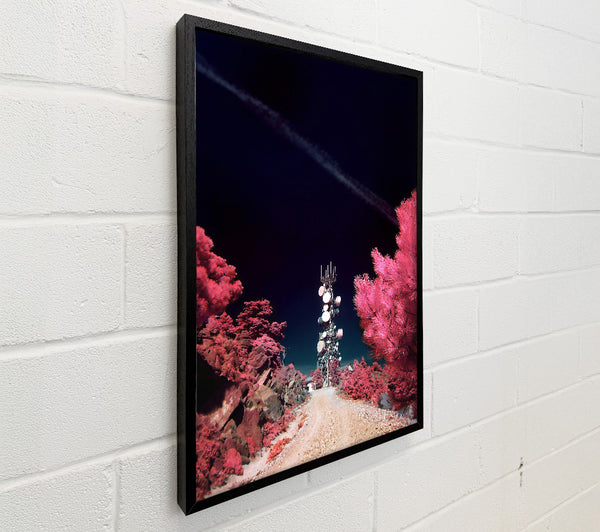 Pink Signal Tower Path