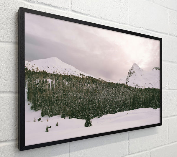 Pale Pines And Peaks